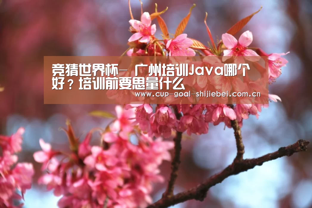 竞猜世界杯-
广州培训Java哪个好?培训前要思量什么(图1) 竞猜世界杯