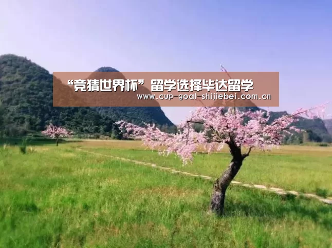 竞猜世界杯